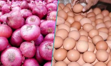  পেঁয়াজের দাম আরও কমেছে, বেড়েছে ডিমের