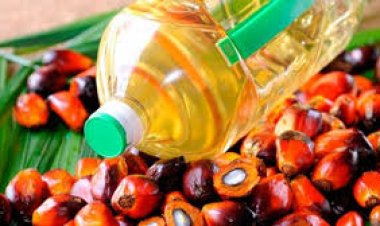 মালয়েশিয়ার পাম তেলের উপর নিষেধাজ্ঞা দিল ইউরোপীয় ইউনিয়ন