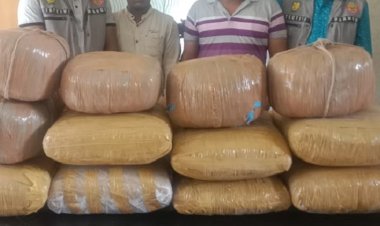 ৮২ কেজি গাঁজাসহ দুই মাদক ব্যবসায়ী গ্রেপ্তার