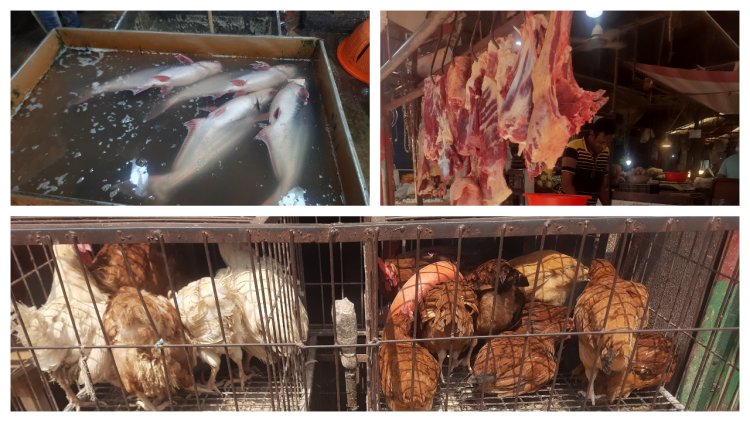 মাছ-মাংস-মুরগি কোনোটাই পাওয়া যাচ্ছে না সরকারি দামে