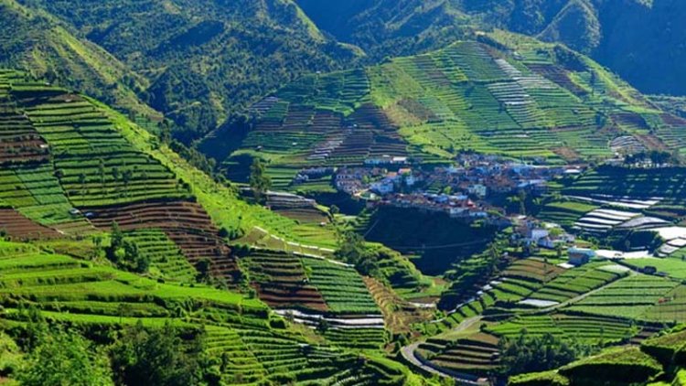 ভূমিকম্পে কাঁপল ইন্দোনেশিয়ার জাভা দ্বীপ