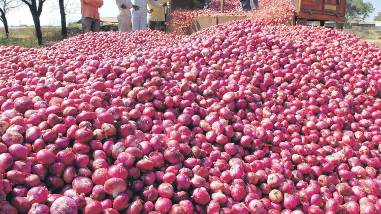 পেঁয়াজ রপ্তানি অনির্দিষ্টকালের জন্য স্থগিত করল ভারত