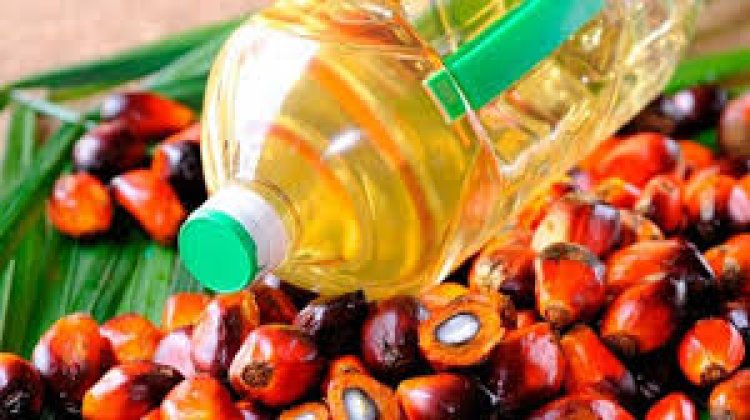 মালয়েশিয়ার পাম তেলের উপর নিষেধাজ্ঞা দিল ইউরোপীয় ইউনিয়ন