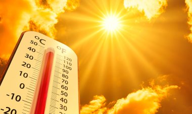 প্রচণ্ড গরমে হাঁসফাঁস করছে মানুষ ও প্রাণীকুল