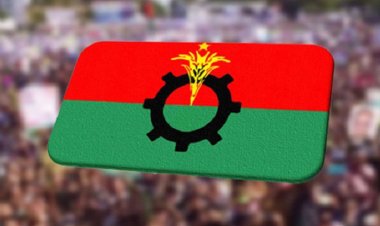 নির্বাচনে অংশগ্রহণের অভিযোগে দুই নেতাকে বহিষ্কার করলো বিএনপি