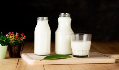 ঠান্ডা না গরম দুধ, কোনটি শরীরের জন্য ভালো