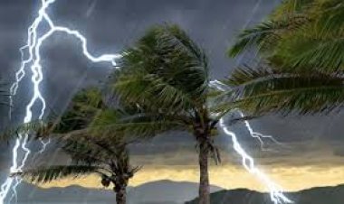 মাঠে লবণ তুলতে গিয়ে বজ্রপাতে নিহত ২