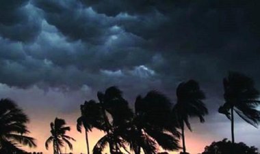 ঝড় ও বজ্রপাতে মা-ছেলেসহ ৭ জনের মৃত্যু