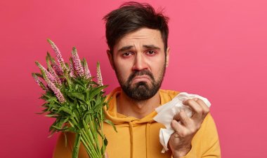 যেভাবে বুঝবেন আপনার ডাস্ট অ্যালার্জি আছে