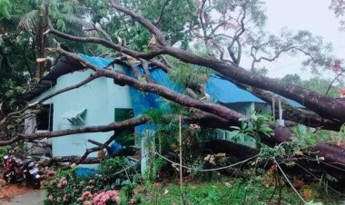  আরও ৩ দিন হতে পারে কালবৈশাখী, সতর্কতা জারি