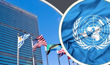 জাতিসংঘে পূর্ণ সদস্য হওয়ার যোগ্যতার স্বীকৃতি পেলো ফিলিস্তিন