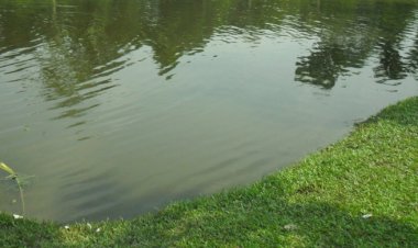  লক্ষ্মীপুরে পুকুরে ডুবে শিশুর মৃত্যু