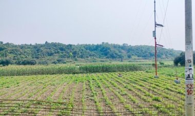  মিয়ানমারে বাংলাদেশি যুবককে গুলি করে হত্যা