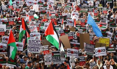 ফিলিস্তিনের পক্ষে বিক্ষোভ করায় যুক্তরাষ্ট্রে ৫০ অধ্যাপক গ্রেফতার