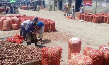 ভারত থেকে পেঁয়াজ আমদানি হচ্ছে না