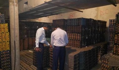 আলুর হিমাগারে মিলল ২১ লাখ ডিম, ২৪ টন মিষ্টি!