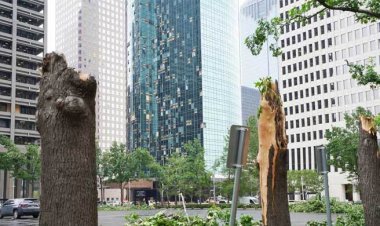  টেক্সাসে ভারী বৃষ্টি-ঝড়, নিহত ৭