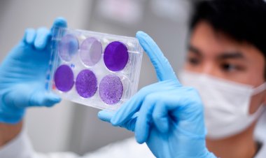 আবার বাড়ছে করোনা সংক্রমণ, ৭ দিনে সিঙ্গাপুরে আক্রান্ত ২৫,৯০০