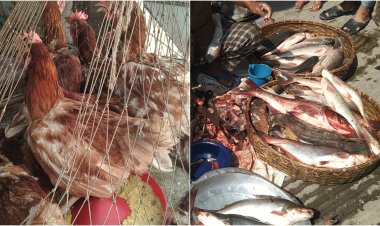 বাজারে বাড়তি দামেই বিক্রি হচ্ছে মুরগি ও মাছ