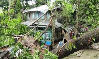 ঘূর্ণিঝড় রেমালের প্রভাবে প্রায় ৩ কোটি গ্রাহক বিদ্যুৎ বিচ্ছিন্ন