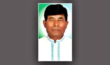 দুই হাজার কোটি টাকা পাচার : ফরিদপুর উপজেলা চেয়ারম্যানের জামিন