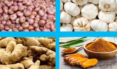 অস্থির মসলার বাজার, পেঁয়াজ আদা রসুনের ঝাঁজ বেড়েই চলেছে