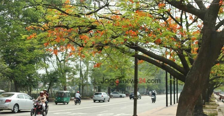  দিনের তাপমাত্রা আরও কমতে পারে