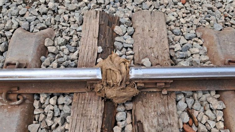 নাটোরে ভেঙে গেছে রেললাইন, বস্তা গুঁজে ধীর গতিতে চলছে ট্রেন