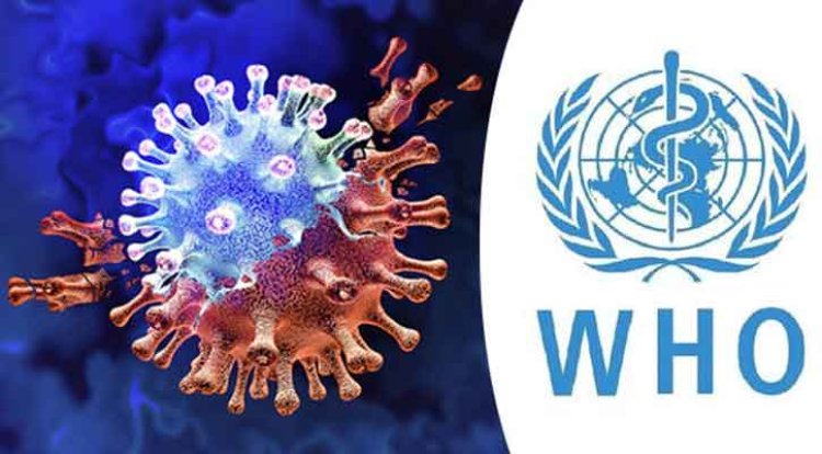 কোভিড মহামারী বিশ্বব্যাপী আয়ু প্রায় দুই বছর কমিয়ে দিয়েছে, দাবি হু-এর