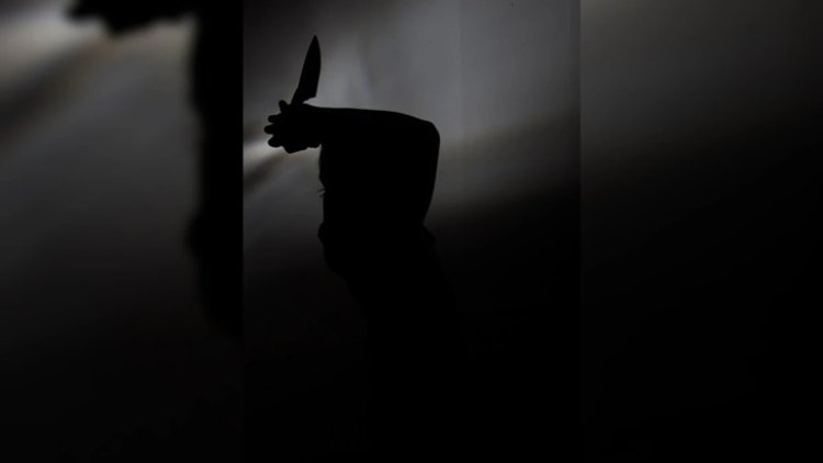 প্রেমে বাধা দেওয়ায় বাবা-ভাইকে হত্যা করে লাশ টুকরো টুকরো করল মেয়ে