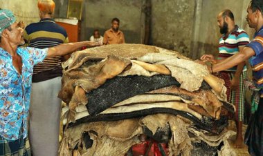  ঢাকায় প্রতি বর্গফুট চামড়ার সর্বোচ্চ দাম ৬০ টাকা, বাইরে ৫৫