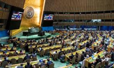 গাজায় যুদ্ধবিরতির প্রস্তাবে জাতিসংঘে ভোটের আহ্বান যুক্তরাষ্ট্রের