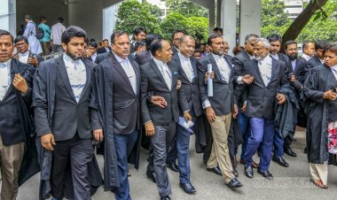 বিএনপির ৭ আইনজীবীকে ব্যক্তিগত হাজিরা থেকে অব্যাহতি