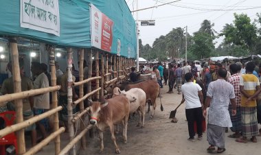 খুলনার এক হাটেই ২ কোটি ২৫ লাখ টাকার রাজস্ব আদায়