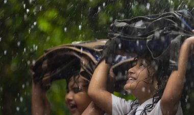 বৃষ্টির দিনে ট্রাভেল ব্যাগে যা রাখবেন