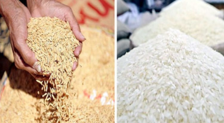 ধানের জাতের নামে চালের নাম দিতে হবে, বিধিমালা জারি