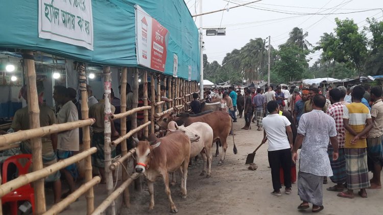 খুলনার এক হাটেই ২ কোটি ২৫ লাখ টাকার রাজস্ব আদায়