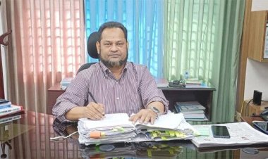 কাস্টমস কমিশনার এনামুলের দেশত্যাগে নিষেধাজ্ঞা