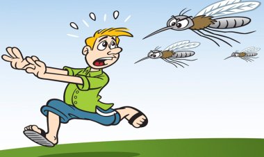 যেসব রঙের পোশাক পরলে মশা কম কামড়ায়