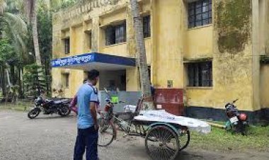 ঘরে ঢুকে ছেলে দেখলেন মা রক্তাক্ত