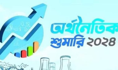 প্রথমবারের মতো অর্থনৈতিক শুমারিতে অনলাইন ব্যবসা