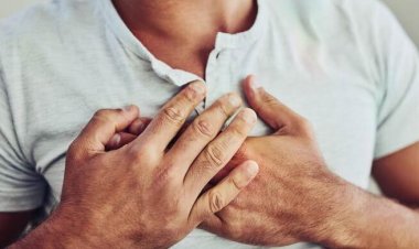  হৃদরোগের ঝুঁকি কমে যে মাছ খেলে