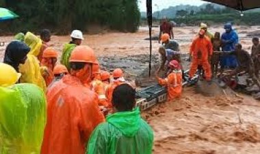 ভয়াবহ ভূমিধস কেরালার ওয়ানাড়ে, এখনও পর্যন্ত ৬৩ জনের মৃত্যু