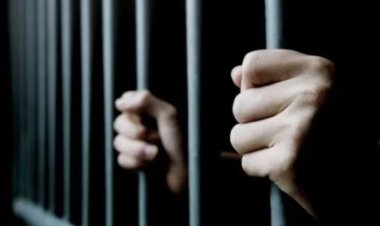 রিমান্ডে বিচারপতির ছেলে, ৩ মামলায় আসামি