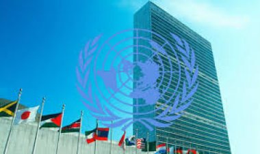 প্রধানমন্ত্রীকে জাতিসংঘের চিঠি