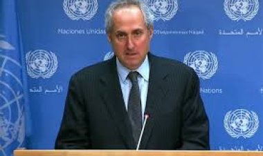 সরাসরি গুলির দৃশ্য দেখেছি, অনুরোধ করলে সবচেয়ে উত্তম পন্থায় তদন্ত করবে জাতিসংঘ