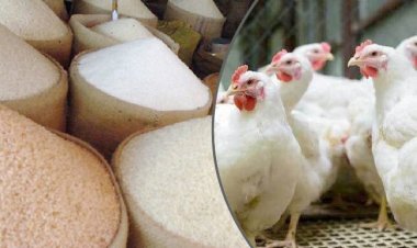 আবারো বেড়েছে চাল-মুরগির দাম