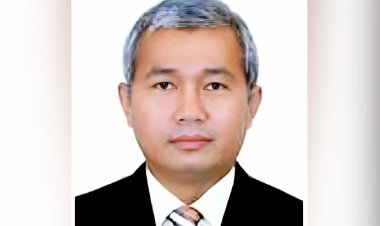 হাসিনার রাষ্ট্রদূত থেকে উপদেষ্টা