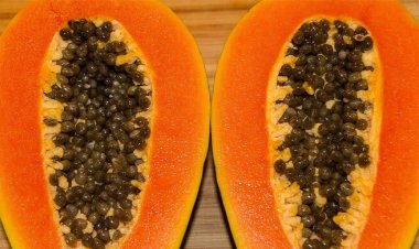 প্রতিদিন পাকা পেঁপে খেলে শরীরে যা ঘটে