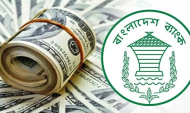  রেমিট্যান্সে উল্লম্ফন ১৭ দিনে এলো ১৩ হাজার ৩৭৪ কোটি টাকা